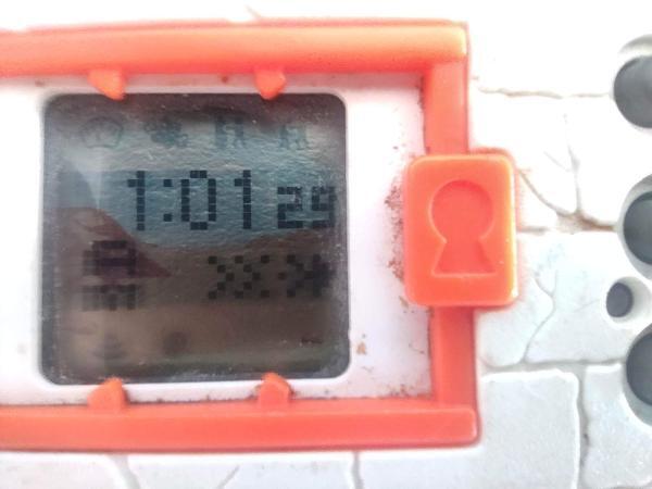 Digimon Digivice Digital Monster Ver 2 White with orange Bandai Buy-Tamagotchis 4