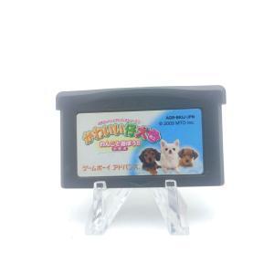 KAWAII KOINU dog puppy GameBoy GBA import Japan Buy-Tamagotchis 2