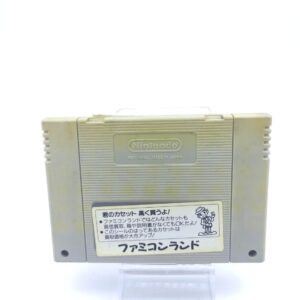 Super Famicom SFC SNES Bastard!! – Ankoku no Hakaishin Japan Boutique-Tamagotchis 2