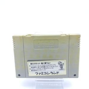 Super Famicom SFC SNES Bastard!! – Ankoku no Hakaishin Japan Buy-Tamagotchis 2