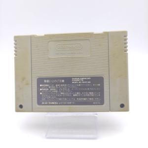 Super Famicom SFC SNES Final Fantasy V Japan Buy-Tamagotchis 3