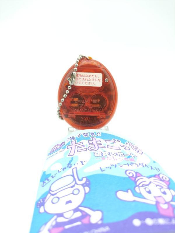 Tamagotchi V1 Umino  Umi de Hakken! Bandai 1998 Ocean Clear red Buy-Tamagotchis 3