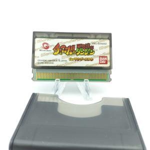 WonderSwan CHOCOBO NO FUSHIGI NA DUNGEON JAPAN Buy-Tamagotchis